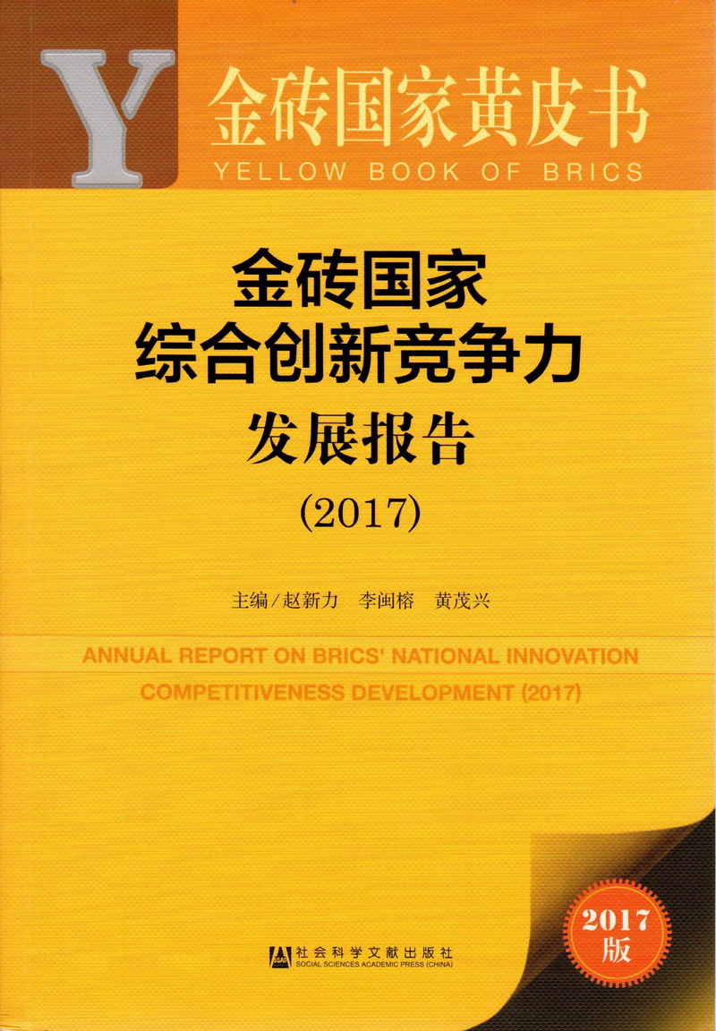 a级毛一片套逼免费看金砖国家综合创新竞争力发展报告（2017）